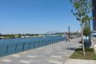 sava6_small.jpg